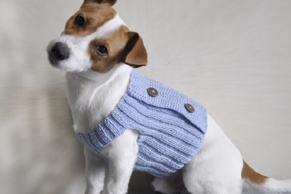 Blue Dream Dog Sweater