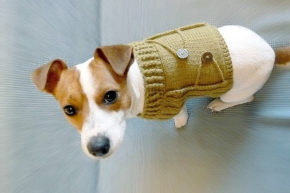 Buttoned Dog Jumper