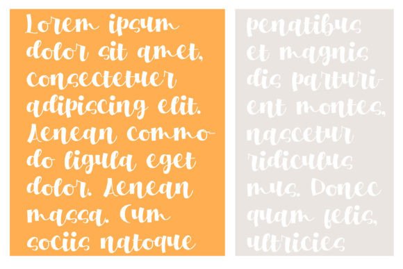 Florida Font - Preview 3