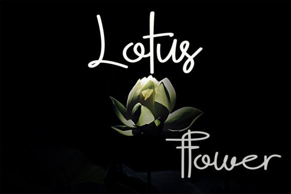 Gaston Font - Preview 2