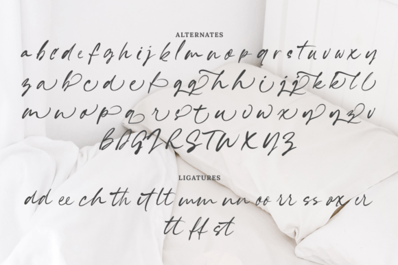 Gracelynn Font - Preview 6