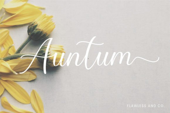 Morettaa Font PNG with transparent background - Preview 2