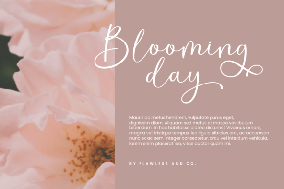Saraya Font PNG with transparent background - Preview 4