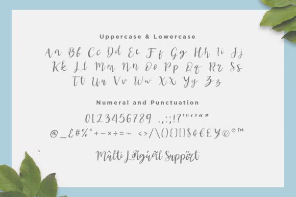 Scolastica Font PNG with transparent background - Preview 6