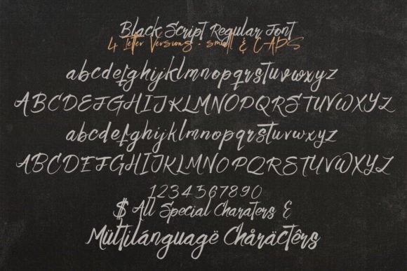 Black Script Font - Preview 4