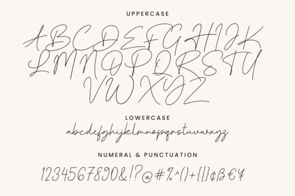Bridger Signature Font - Preview 4