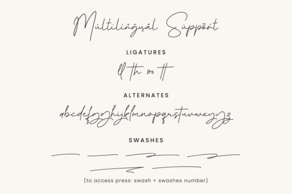 Bridger Signature Font - Preview 5