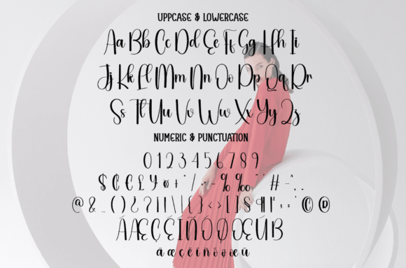 Carmine Font - Preview 6