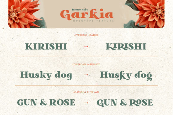 Garkia Font - Preview 4