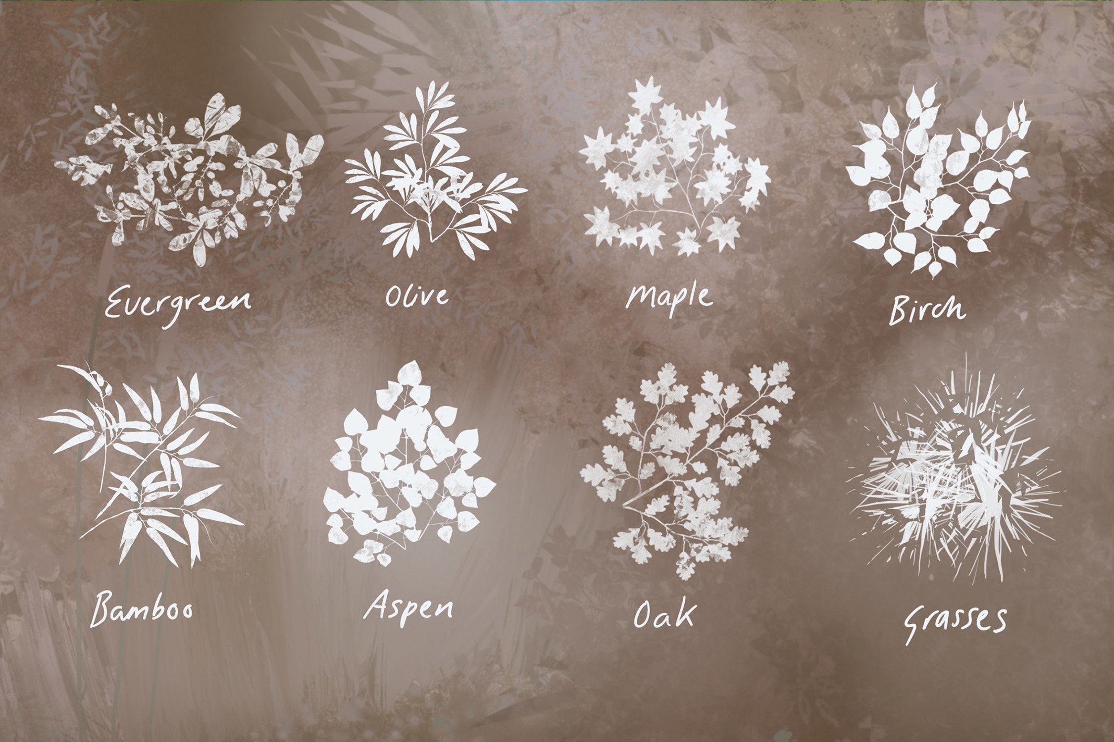 Nature Studio Brushes - photo 4