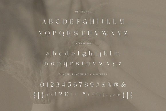 Berfilem Font - Preview 3