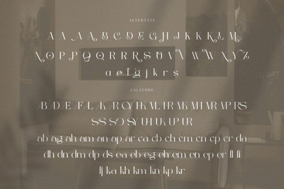 Berfilem Font - Preview 4