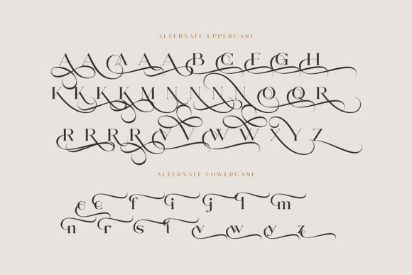 Gerlomi Font - Preview 6