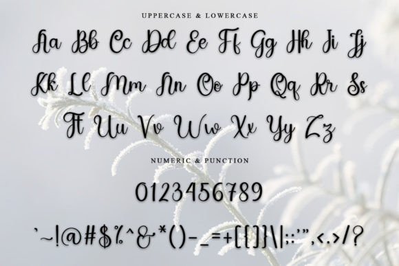 Eagle Font - Preview 3