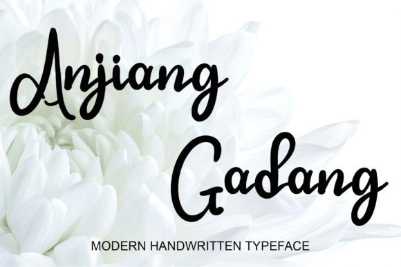 Festylia Font PNG with transparent background - Preview 2