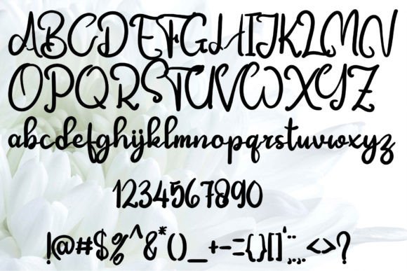 Festylia Font PNG with transparent background - Preview 3