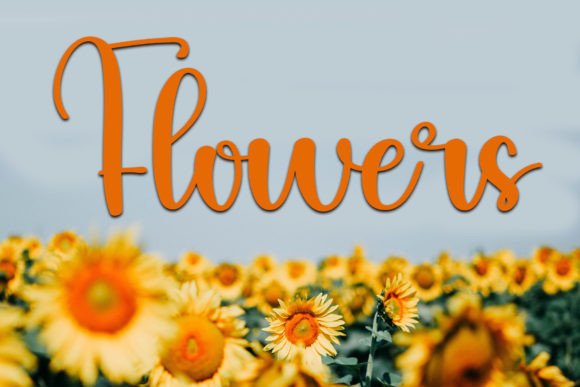 Halft Font PNG with transparent background - Preview 2