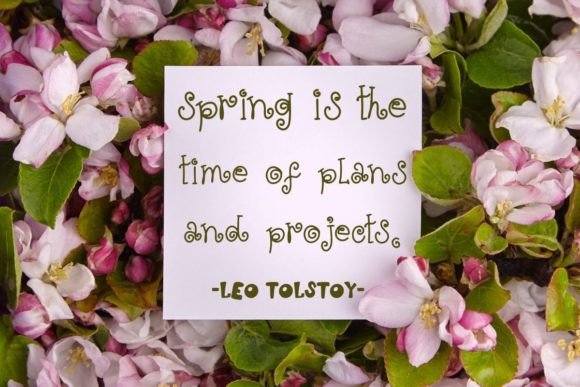 Hello Spring Font - Preview 6