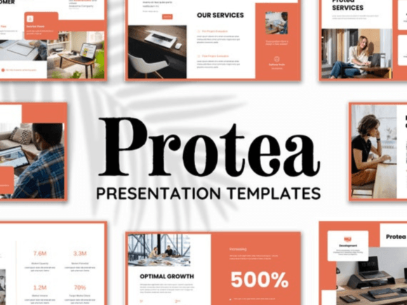 Protea Canva presentation template with modern business slide layouts