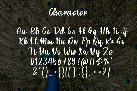 Amelia Font - Preview 1