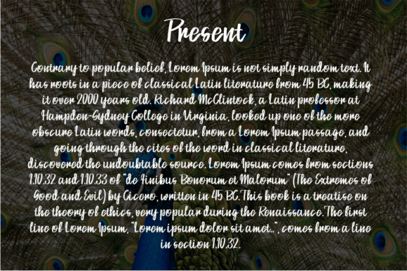 Amelia Font - Preview 2