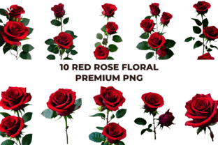 Red Rose Floral Premium PNG Bundle Graphic by GraphicxPack · Creative ...