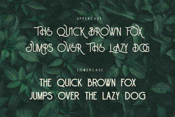 Abraham Font - Preview 2