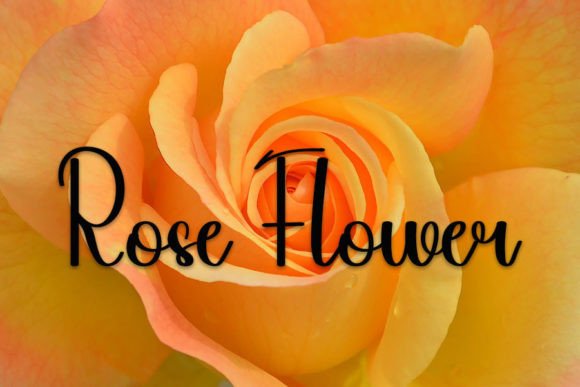 Beauty Font - Preview 3