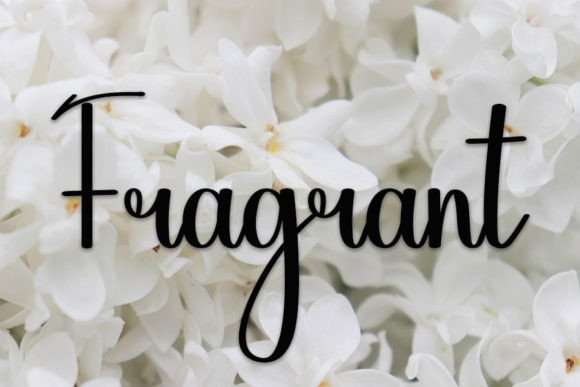 Beauty Font - Preview 4