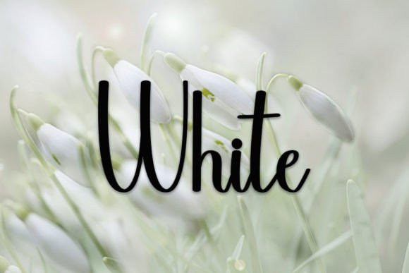 Beauty Font - Preview 5