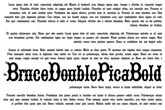 Bruce Double Pica Font - Preview 1