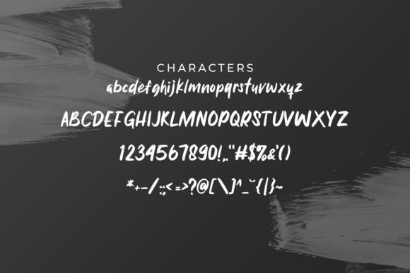 Brushflow Font - Preview 5