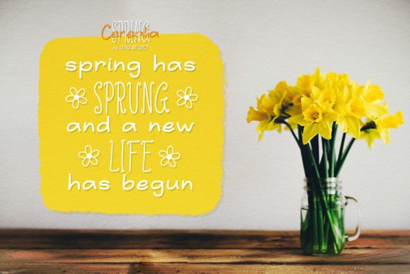 Cerealia Spring Handwritten Duo Font - Preview 1