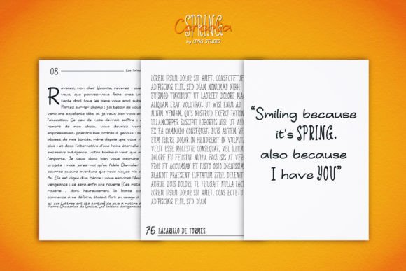 Cerealia Spring Handwritten Duo Font - Preview 4