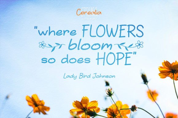 Cerealia Spring Handwritten Duo Font - Preview 6