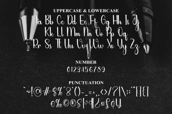 Everything Font - Preview 3