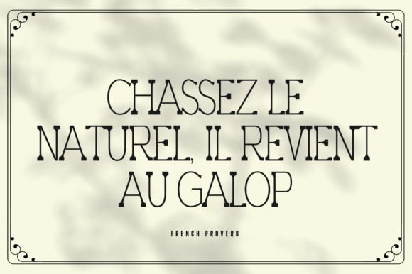 Fexire Font - Preview 5