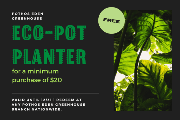 Forest Zoo Font - Preview 4