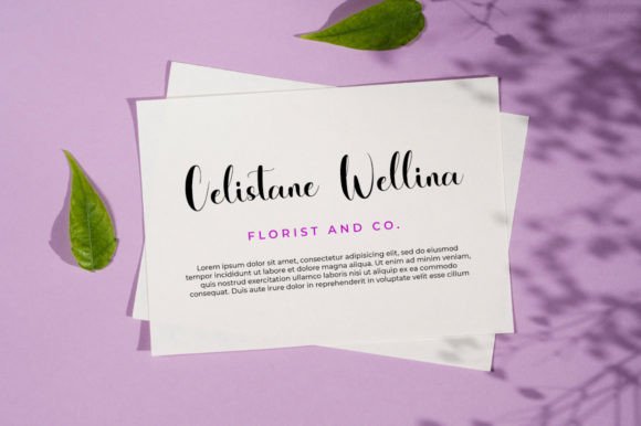 Seranettya Font PNG with transparent background - Preview 3