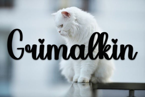 Disguised Font - Preview 3