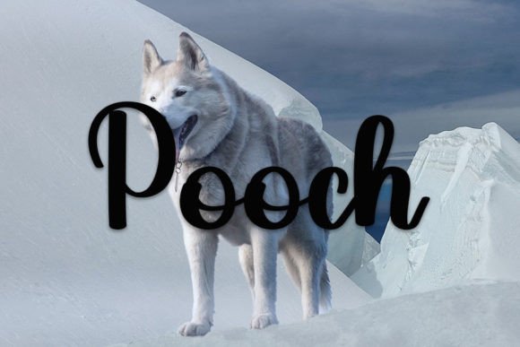 Disguised Font - Preview 5