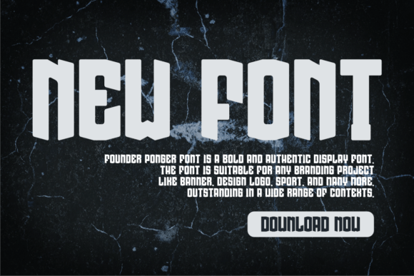 Founder Ponger Font - Preview 2