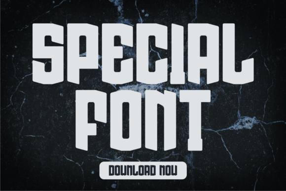 Founder Ponger Font - Preview 3