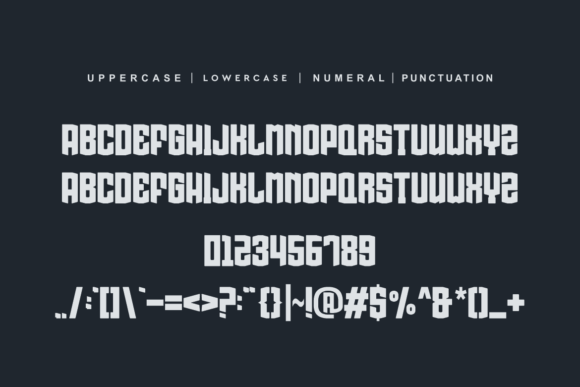 Founder Ponger Font - Preview 6