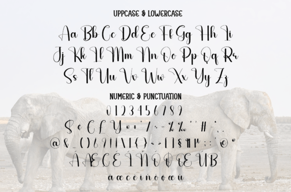 Great Font - Preview 6
