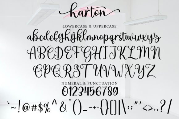 Harton Font - Preview 6
