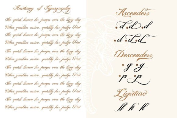 Montante Font PNG with transparent background - Preview 2
