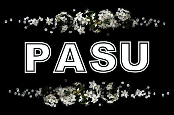 Pasu Font PNG with transparent background - Preview 1