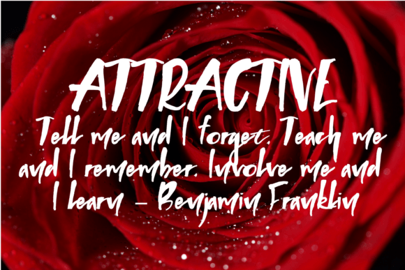 Agencies Solutions Font - Preview 1