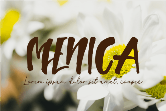 Agencies Solutions Font - Preview 5